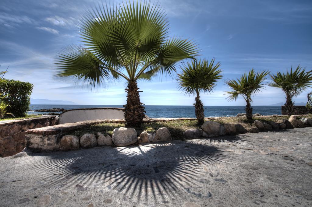 Villa Celeste Puerto Vallarta Exteriör bild