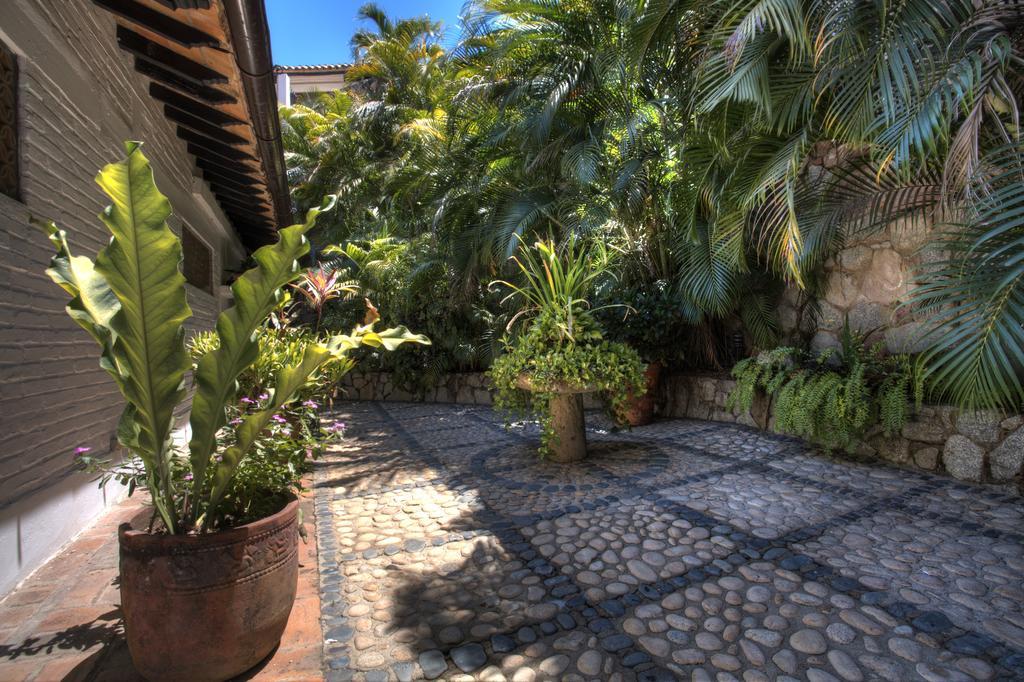 Villa Celeste Puerto Vallarta Exteriör bild